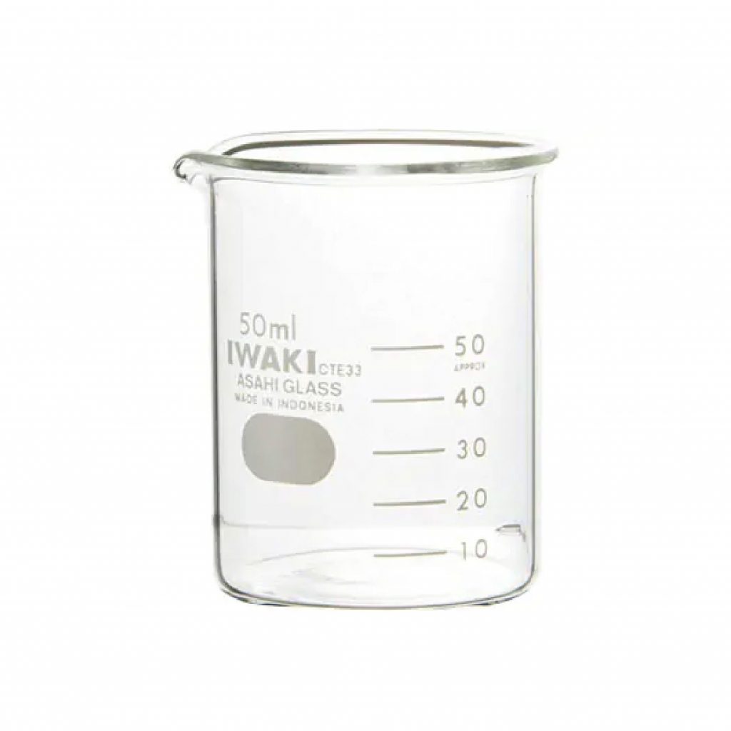 Beaker, Glass 100ml, Low Form W/Spout 'Iwaki' Charleston Scientific